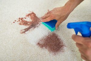 Carpet cleaning