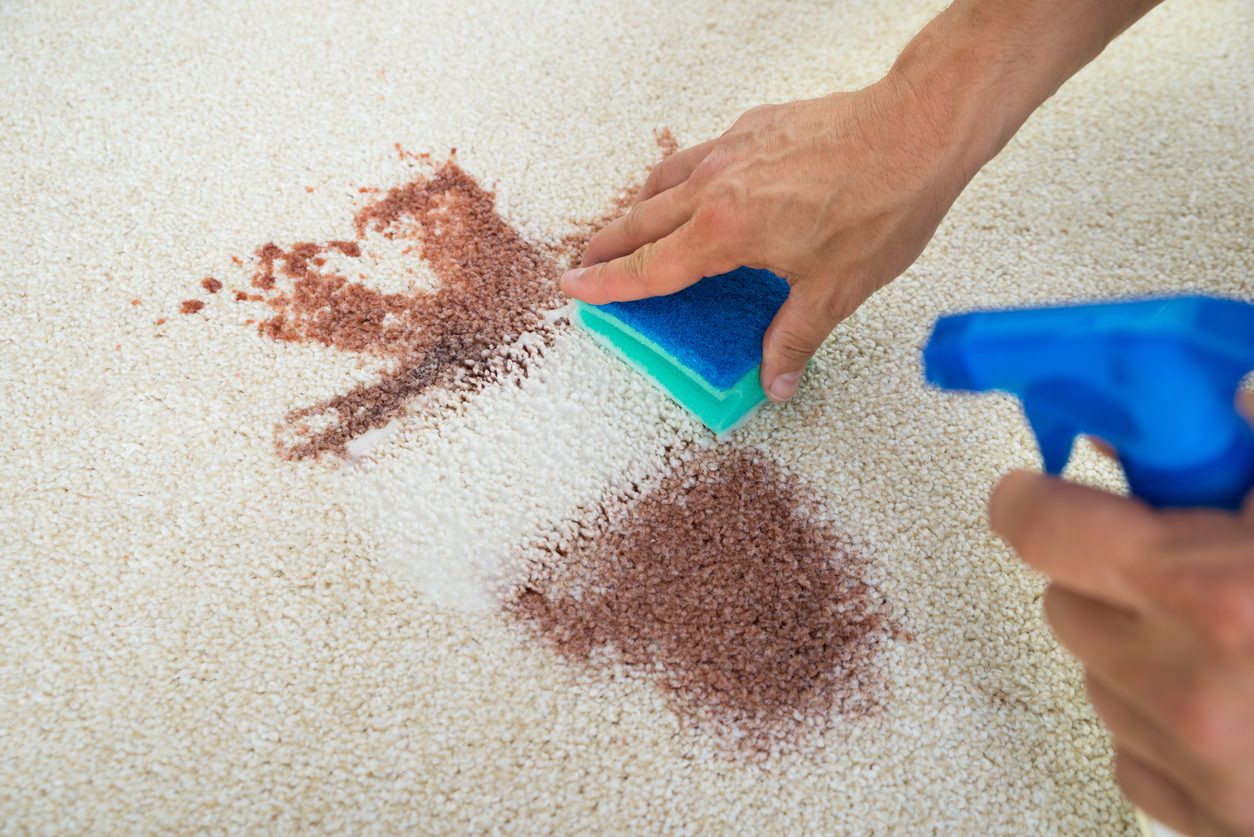 Carpet cleaning